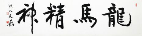 萧文飞 龙马精神