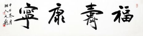 萧文飞 福寿康宁
