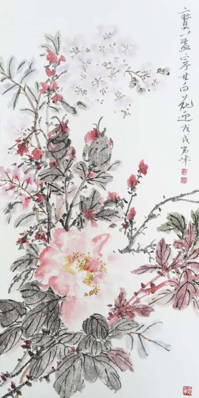 宝盖宁甘向花迎.jpg